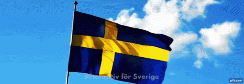 Alternativ För Sverige Afs GIF - Alternativ För Sverige Afs 9september GIFs