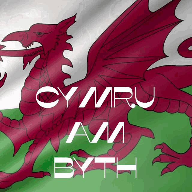 Wales Welsh GIF - Wales Welsh Cymraeg GIFs