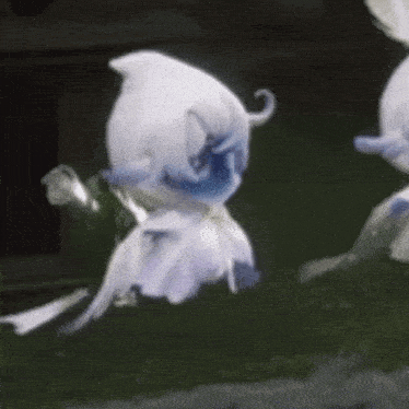 a close up of a white flower with a blue hat on it