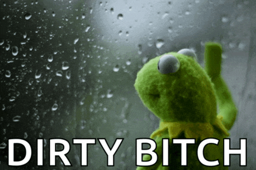 a kermit the frog looking out a window with the words dirty bitch written below him