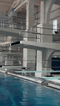 Sam Sulek Pool Jump GIF