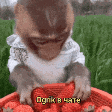 a monkey is holding a basket of strawberries and says ogrik b jate