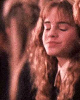 Hermion Hermione Granger GIF - Hermion Hermione Granger Gryffindor GIFs