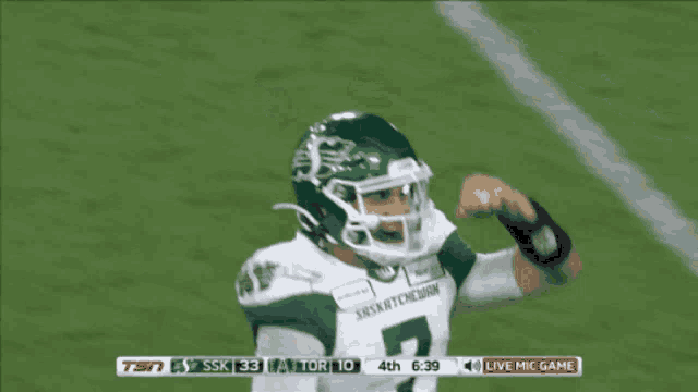a football game is being shown on tsn with the score 33 to 10