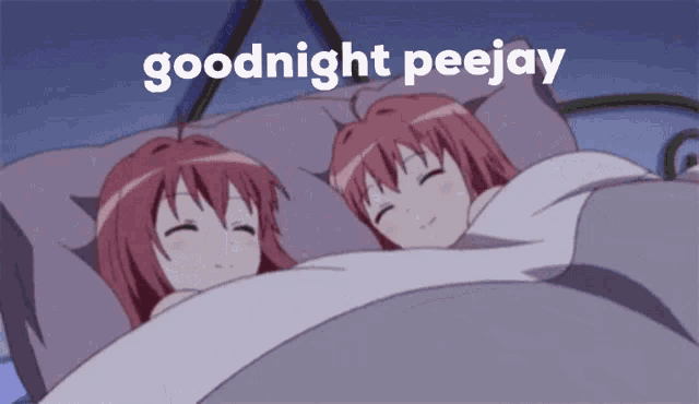 two anime girls are sleeping next to each other and the words goodnight peejay are above them