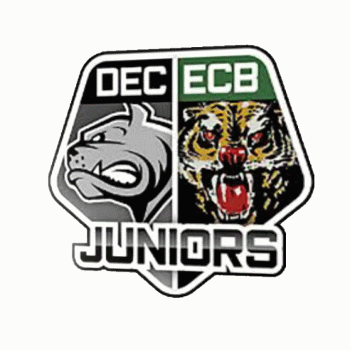 Dececb Juniors Dec GIF - Dececb Juniors Dec Ecb GIFs