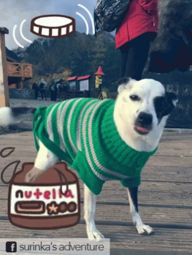 Dog Nutella GIF - Dog Nutella Happy GIFs