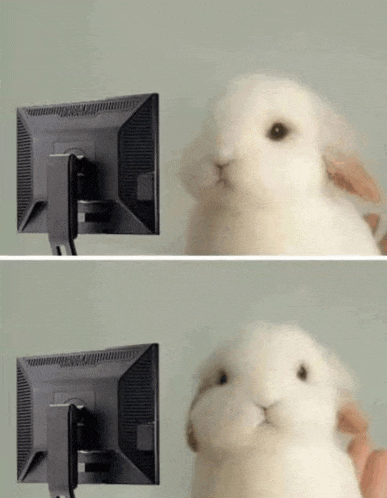 a small white rabbit is looking at a computer monitor .