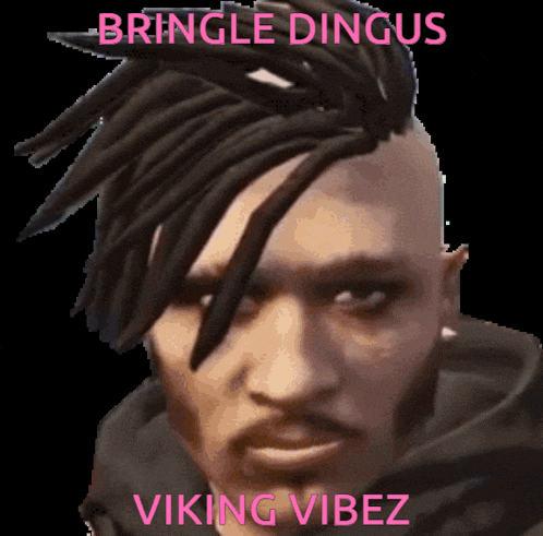 a man with dreadlocks and the words bringle dingus viking vibez