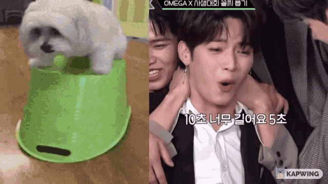 a dog sitting on top of a green bucket next to a man