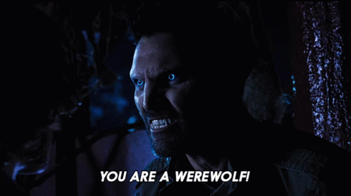 You Are A Werewolf Derek Hale GIF - You Are A Werewolf Derek Hale Teen Wolf The Movie GIFs
