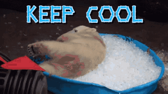 a polar bear is laying in a bucket of ice with the words keep cool written above it