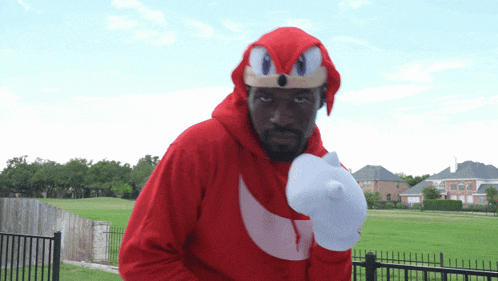 a man in a sonic the hedgehog costume stands in a field