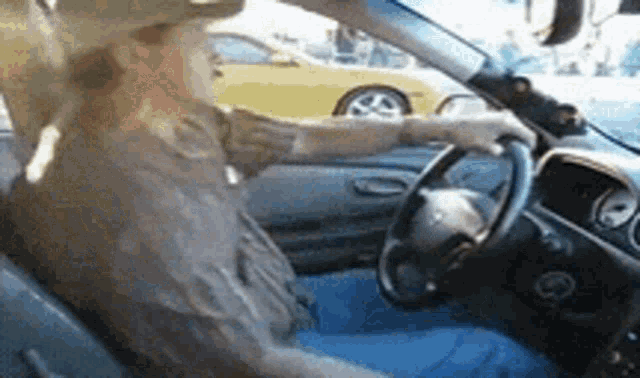 Mexicandriver Drag Race GIF - Mexicandriver Drag Race Nissan GIFs