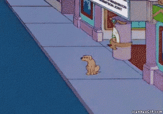Suspicious Dog GIF