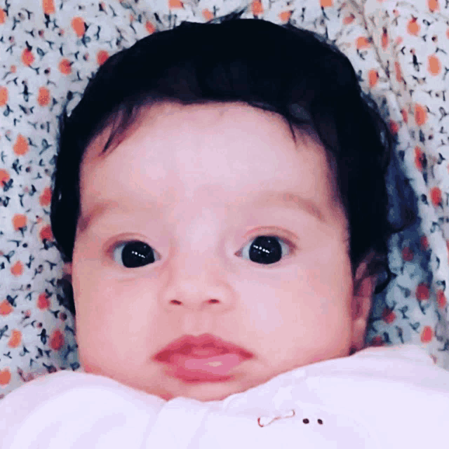 a baby laying on a floral blanket looking at the camera