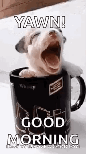 Puppy Cup GIF - Puppy Cup Good Morning GIFs