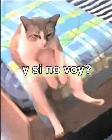 a cat is sitting on a bed with its legs crossed and the words y si no voy .