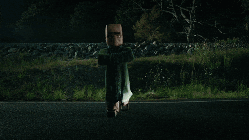a car is driving down a road at night and a bird is flying in the air