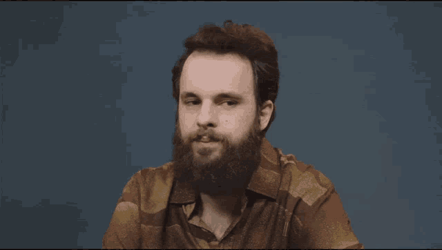 a man with a beard and a plaid shirt looks at the camera
