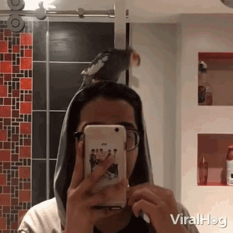 a woman taking a picture of herself with a bird on her head and the words viral hog on the bottom