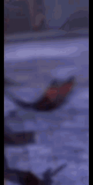 a blurry picture of a person standing in the snow .