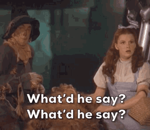 Wizard Of Oz What Did He Say GIF