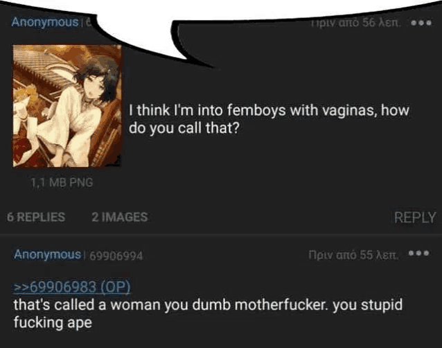 i think i 'm into femboys with vaginas , how do you call that ? anonymous