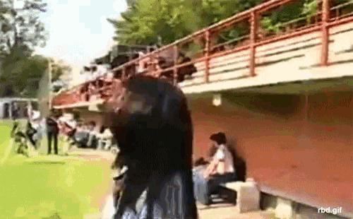 a group of people are standing under a bridge with the words rbd.gif written on the bottom