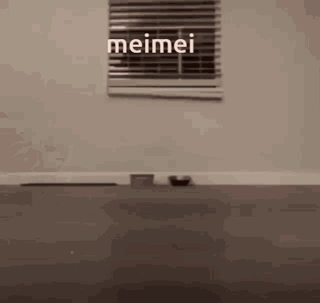 a dog is playing with a cat on a floor in a room .