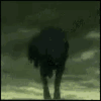 a silhouette of a person standing in a dark field
