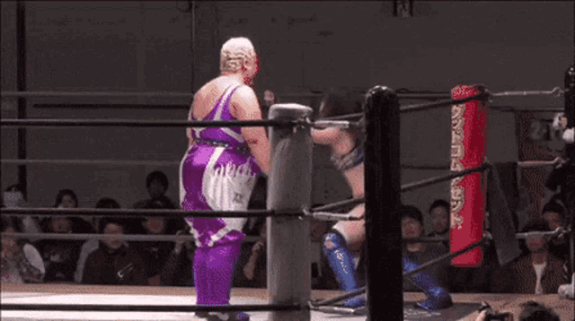 a man in a purple outfit is wrestling a woman in a ring .