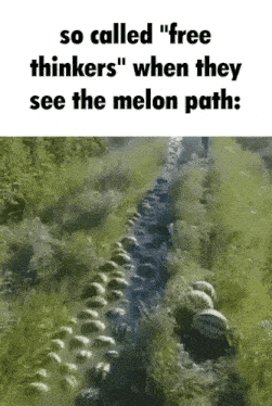a bunch of watermelons are lined up in a field with the caption so called free thinkers when they see the melon path
