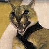a close up of a cat with its mouth open and its teeth showing