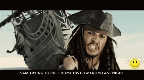 jack sparrow from pirates of the caribbean is trying to pull home his cow