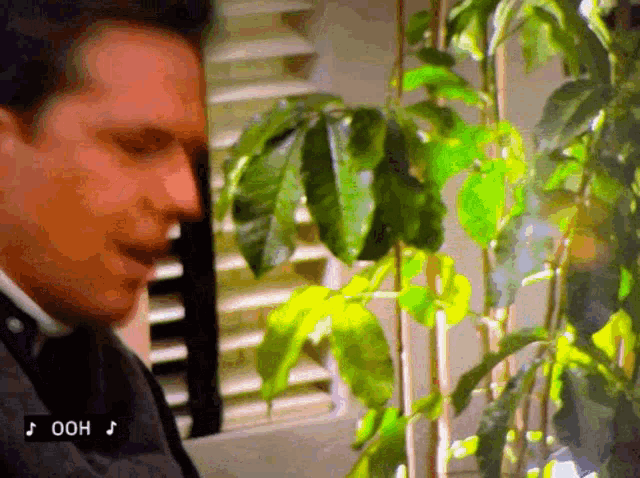 a man is standing in front of a window with a plant in the foreground and a caption that says ooh