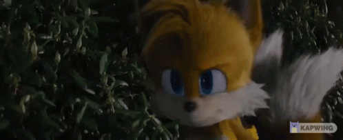 Sonic Movie2 Tails The Fox GIF - Sonic Movie2 Tails The Fox Perfect GIFs