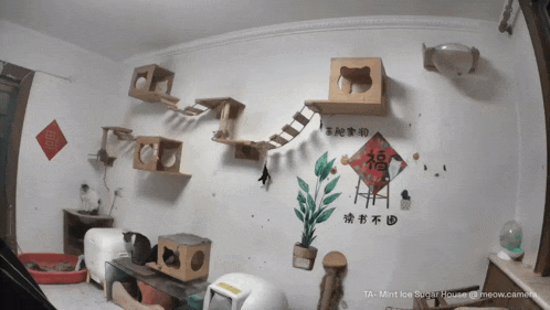 a photo of a room with chinese writing on it