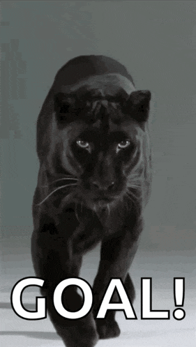 a picture of a black panther with the words goal written below it