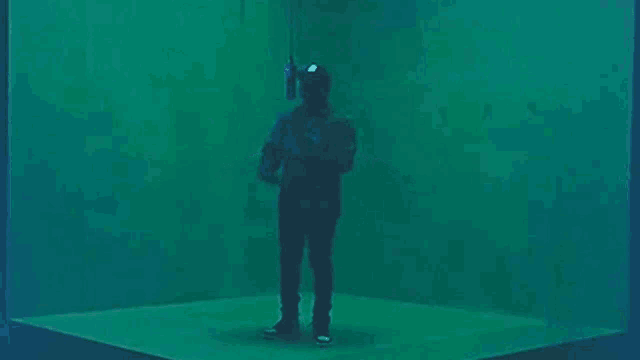 a man is standing in a room with his arms outstretched in a green room .