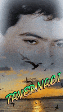 a poster with a man 's face and the words tavernaci