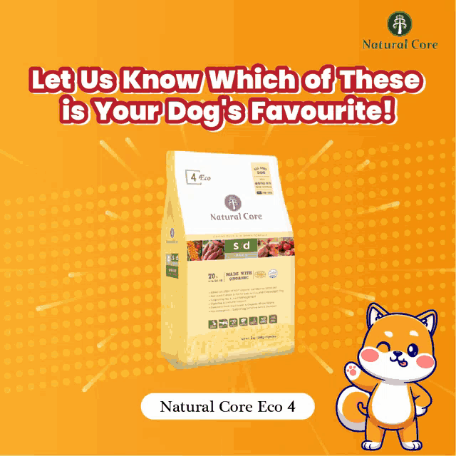a bag of natural core eco 4 dog food on a yellow background