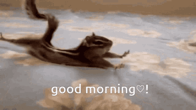 a chipmunk is flying through the air on a bed with the words good morning written on the bottom