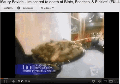 a youtube video of maury povitch 's death of birds peaches and pickles