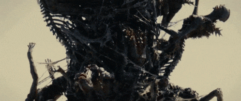 a close up of a tree with a lot of branches and roots