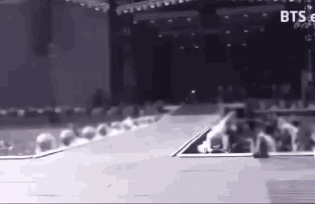 a group of people are standing on top of a stage in front of a crowd .