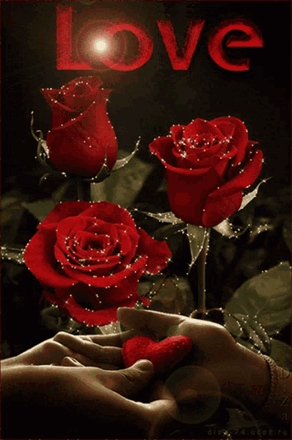 a couple of hands holding a heart in front of red roses with the word love in the background