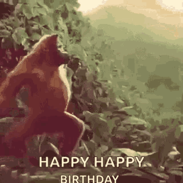 a monkey is standing on top of a rock in the jungle .