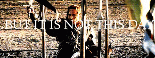 Aragorn Lot R GIF - Aragorn Lot R Lord Of The Rings GIFs