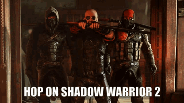 a poster for hop on shadow warrior 2 shows three warriors